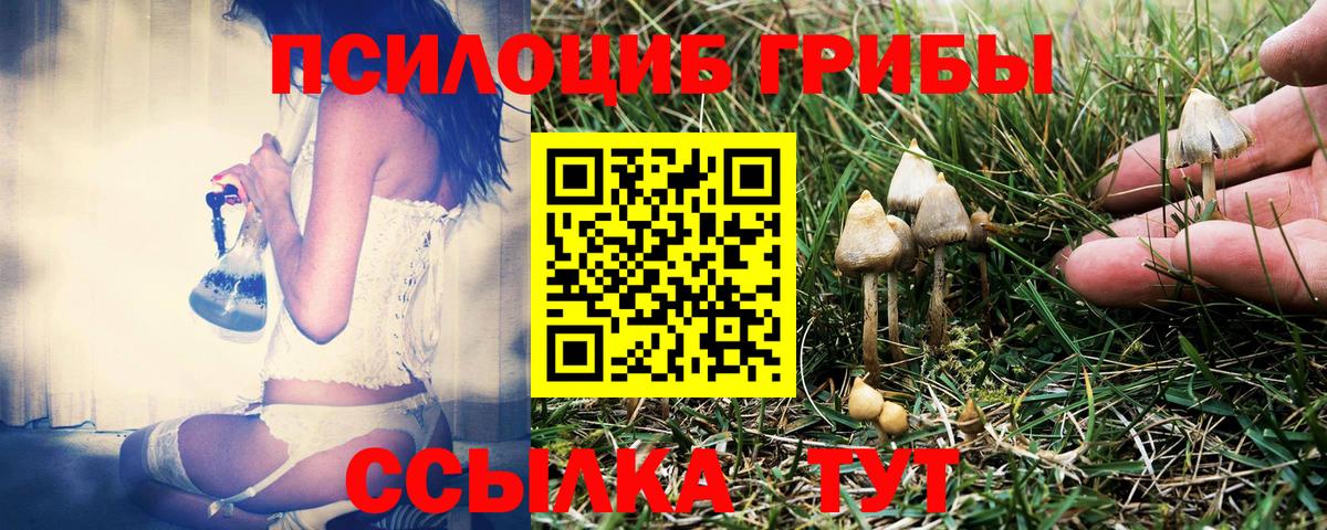 Псилоцибиновые грибы ЛСД  Псилоцибиновые грибы Psilocybine cubensis  Вход с VPN  Россошь 